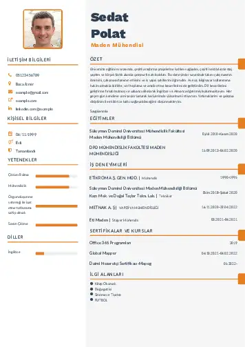 Maden Mühendisi Cv Örnekleri cv indir